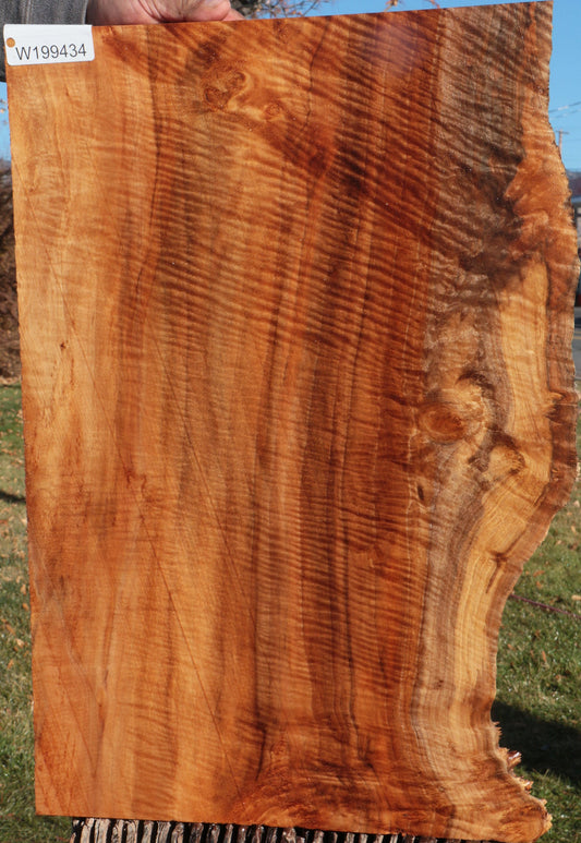 Rustic Brazilian Pepperwood Live Edge Lumber