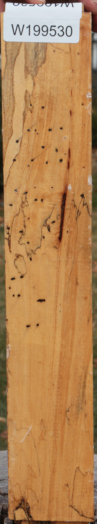 Spalted Tamarind Peppermill