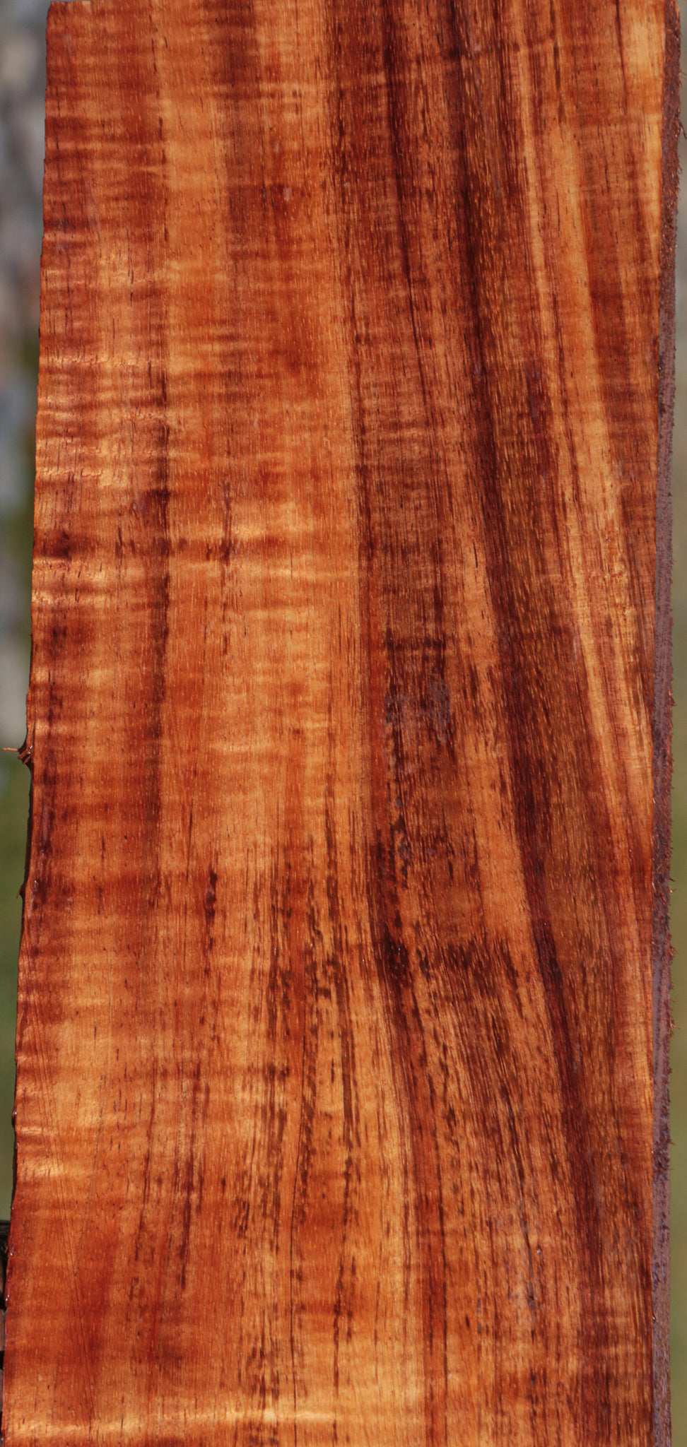 Exhibition Quartersawn Hawaiian Koa Instrument Lumber