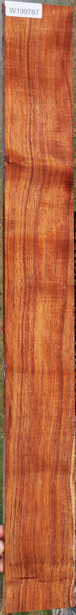 Quartersawn Fiddleback Hawaiian Koa Instrument Lumber