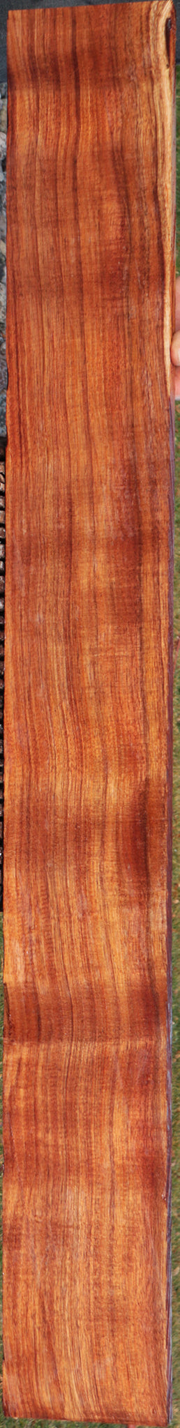 Quartersawn Fiddleback Hawaiian Koa Instrument Lumber