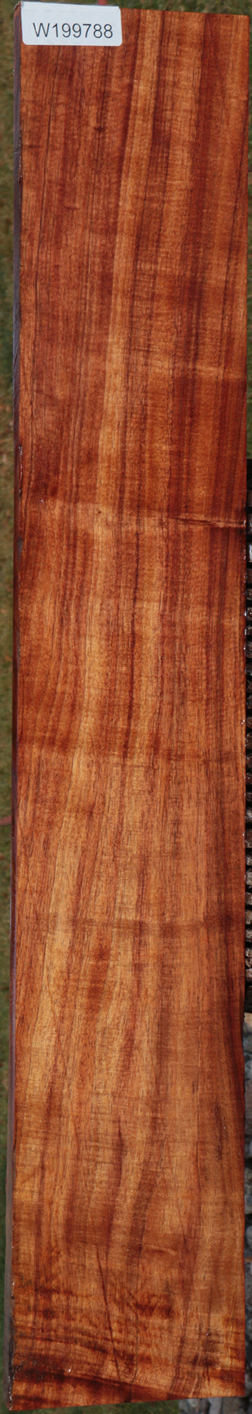 Extra Fancy Quartersawn Hawaiian Koa Instrument Lumber
