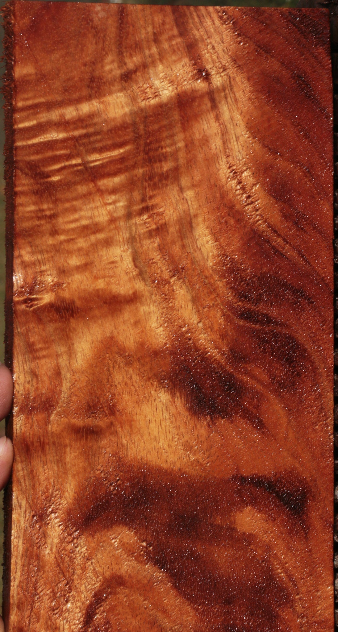 Exhibition Crotchwood Hawaiian Koa Lumber