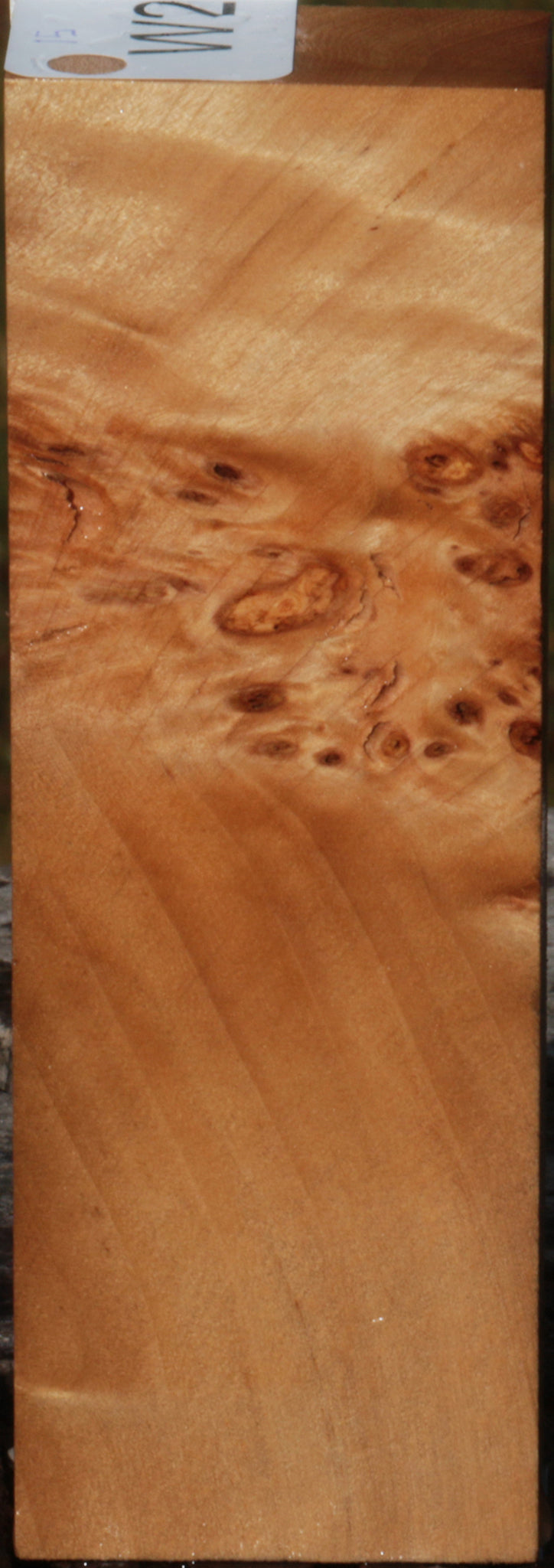 California Cottonwood Burl Knife Blank