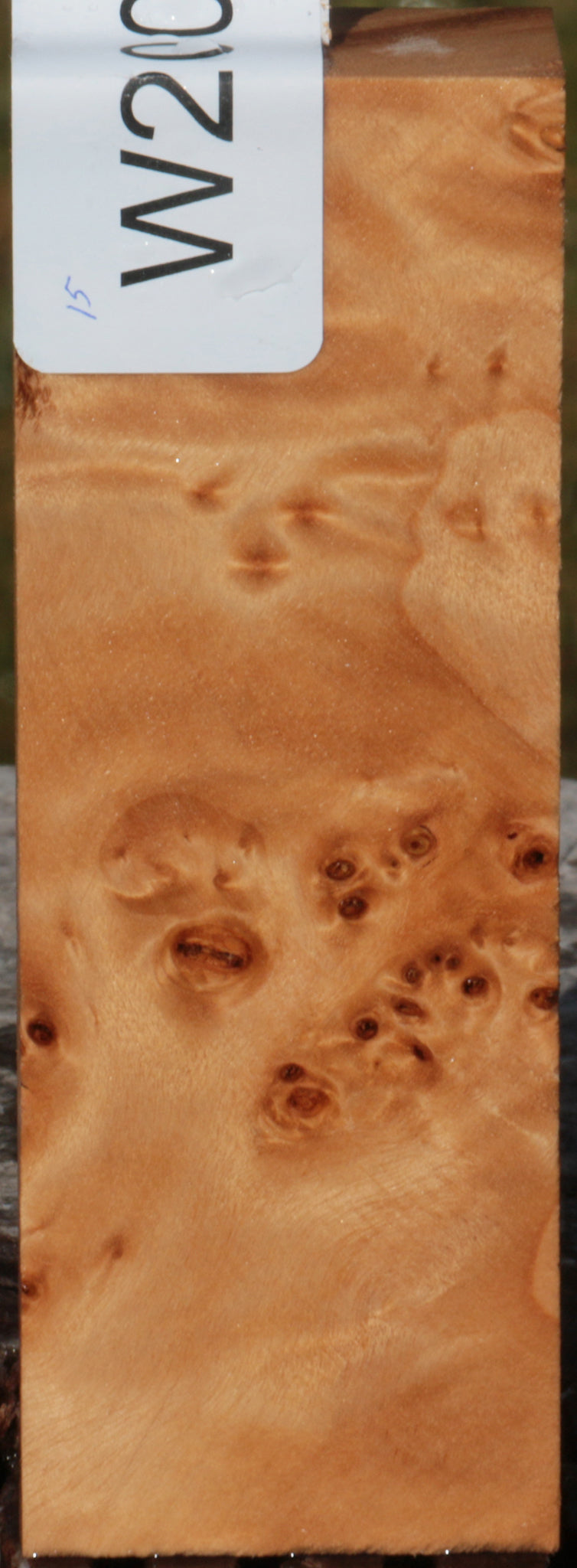 California Cottonwood Burl Knife Blank