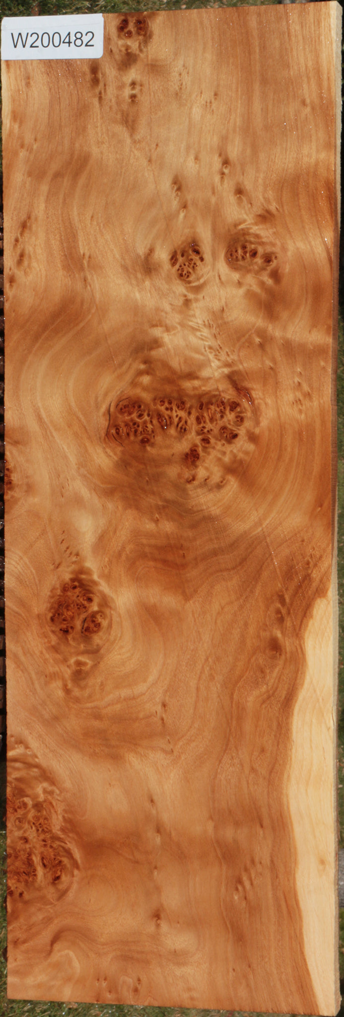 California Cottonwood Burl Lumber
