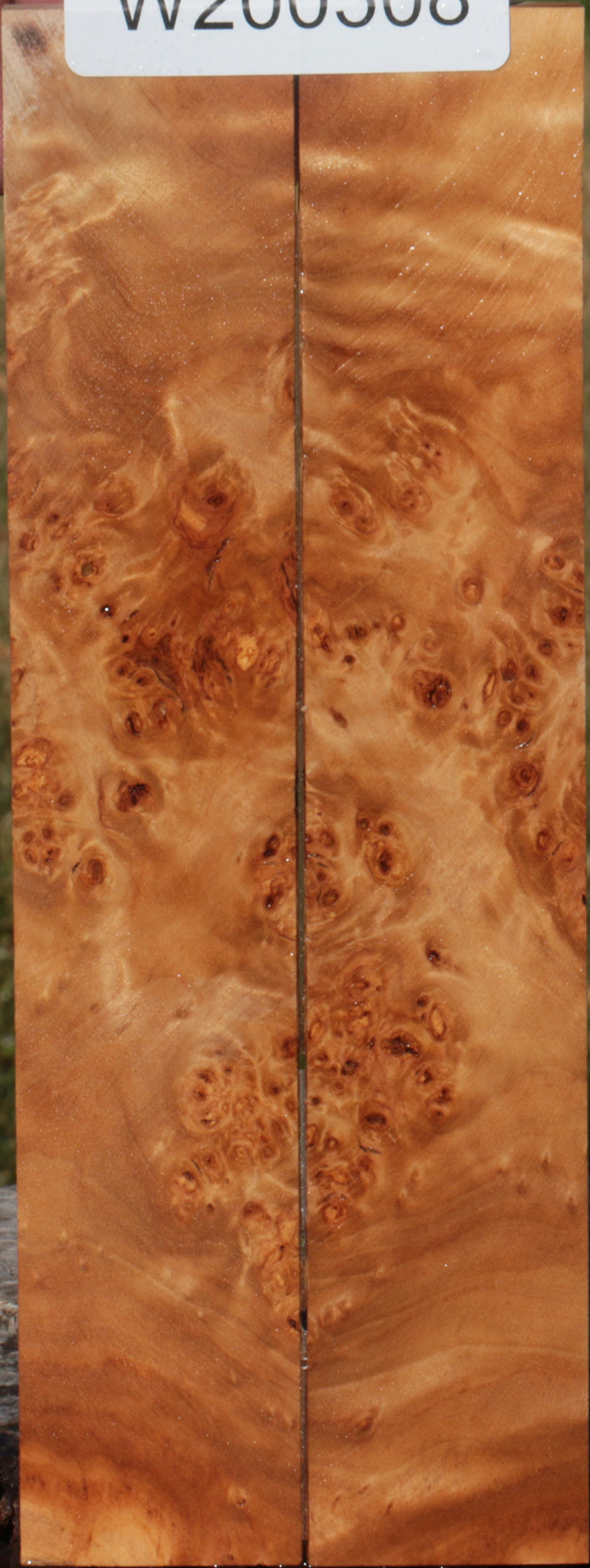 California Cottonwood Burl Bookmatched Knife Scales