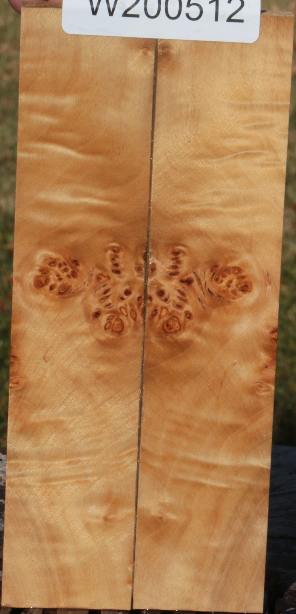 California Cottonwood Burl Bookmatched Knife Scales
