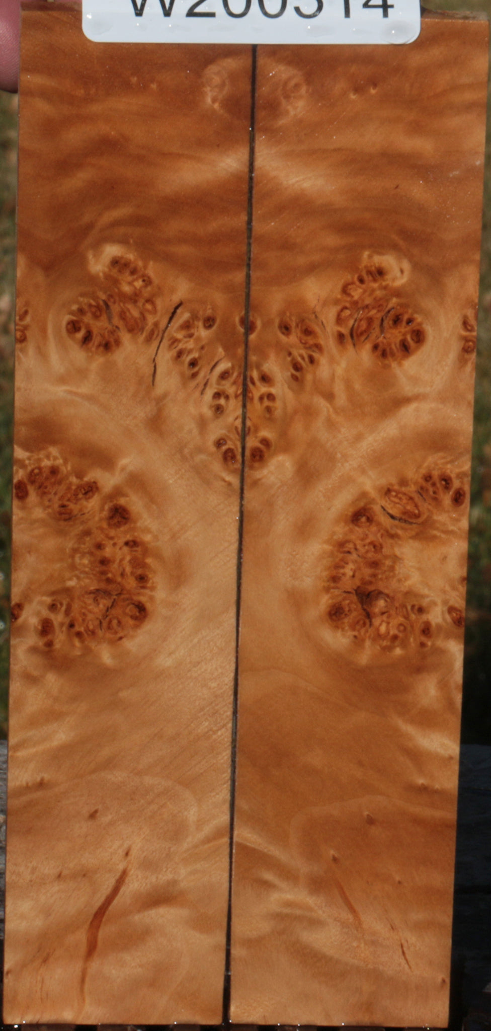 California Cottonwood Burl Bookmatched Knife Scales