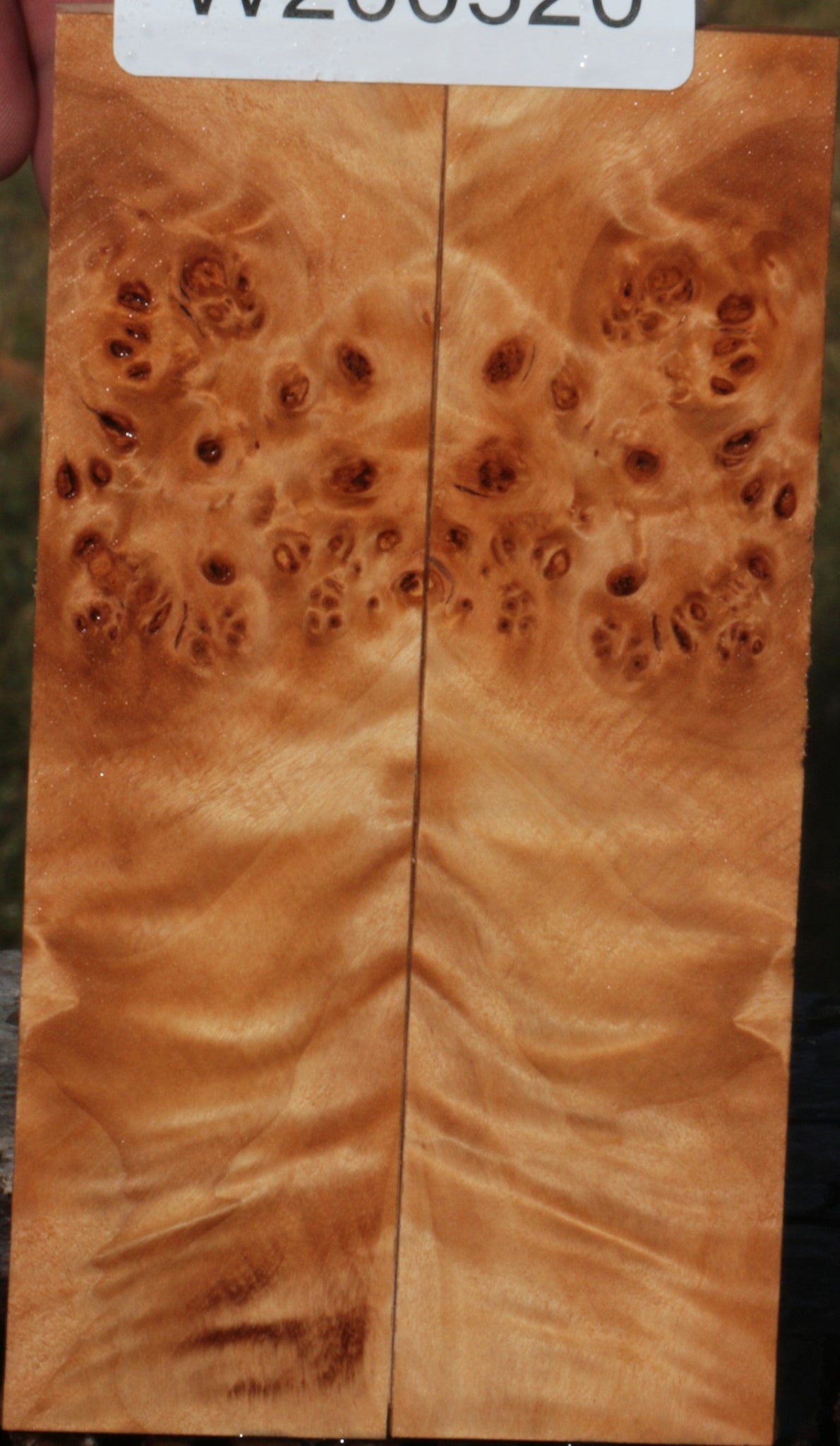 California Cottonwood Burl Bookmatched Knife Scales