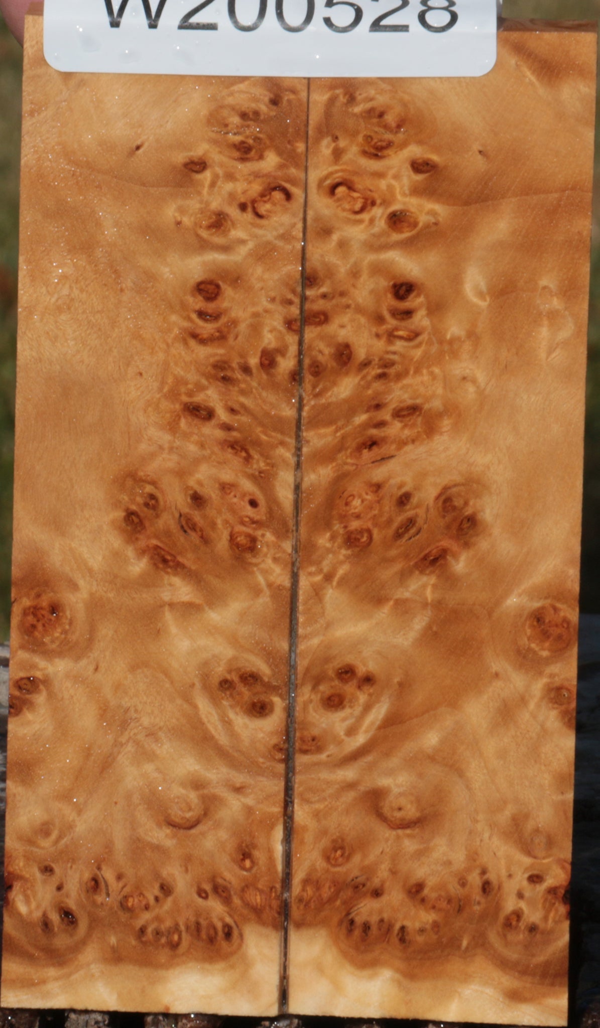 California Cottonwood Burl Bookmatched Knife Scales