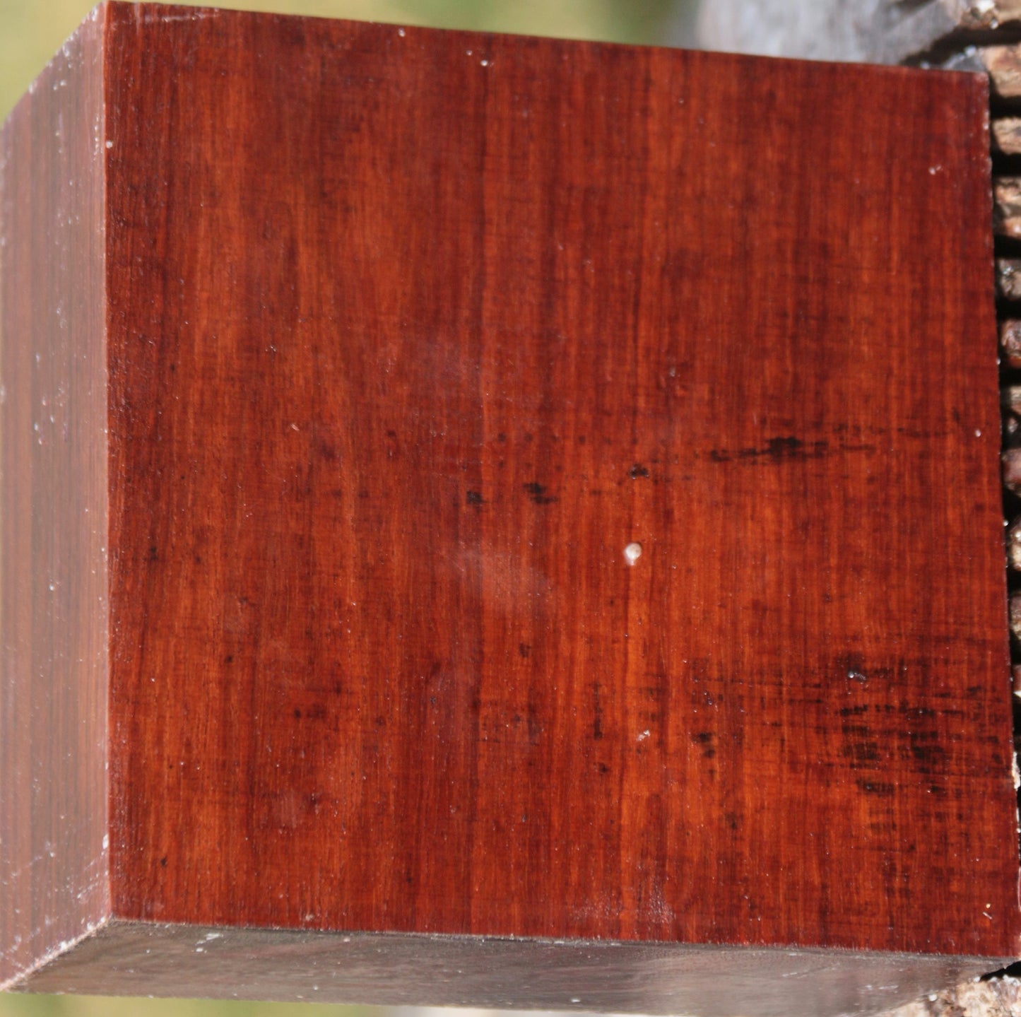 Granadillo Bowl Blank