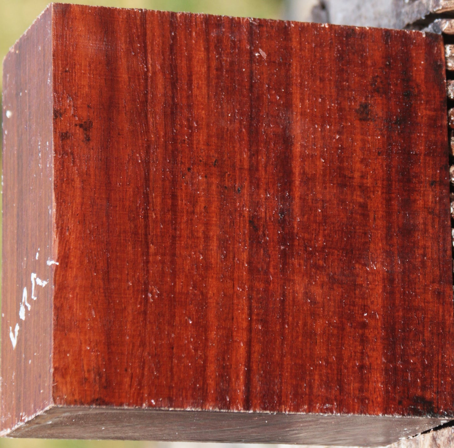 Granadillo Bowl Blank