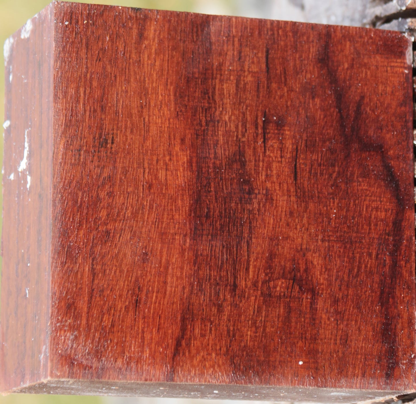 Granadillo Bowl Blank