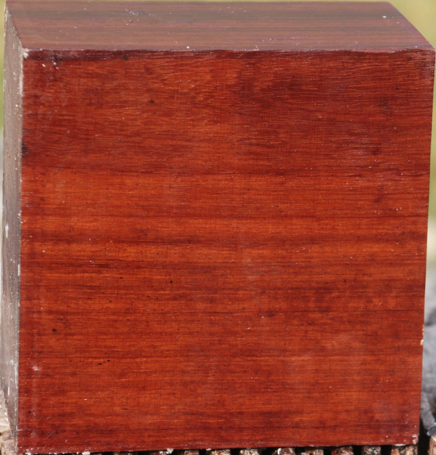 Granadillo Bowl Blank