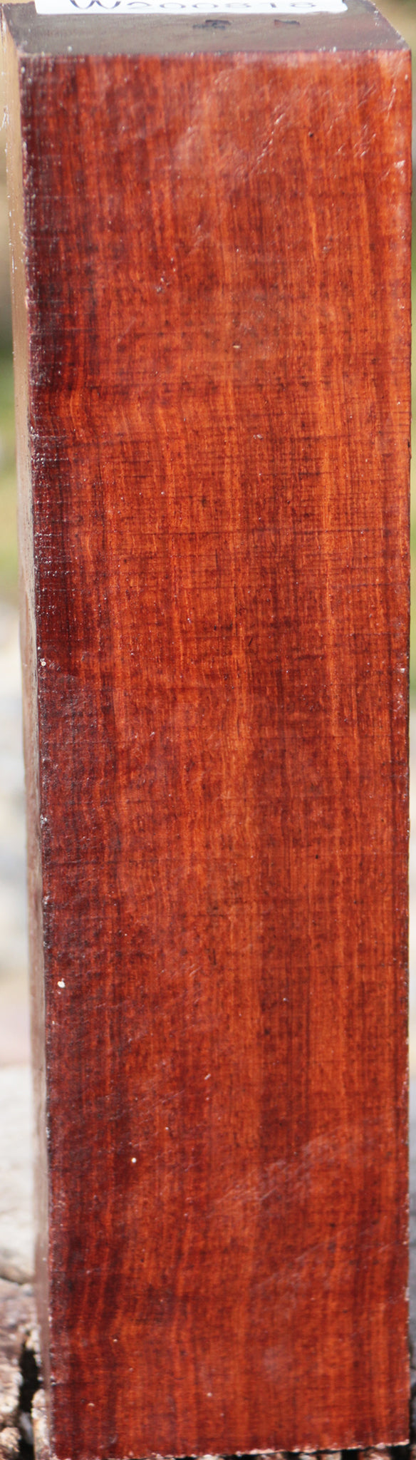 Granadillo Peppermill