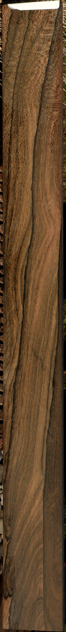 Ziricote Micro Lumber