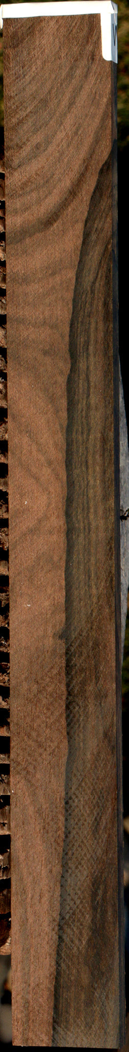 Ziricote Micro Lumber