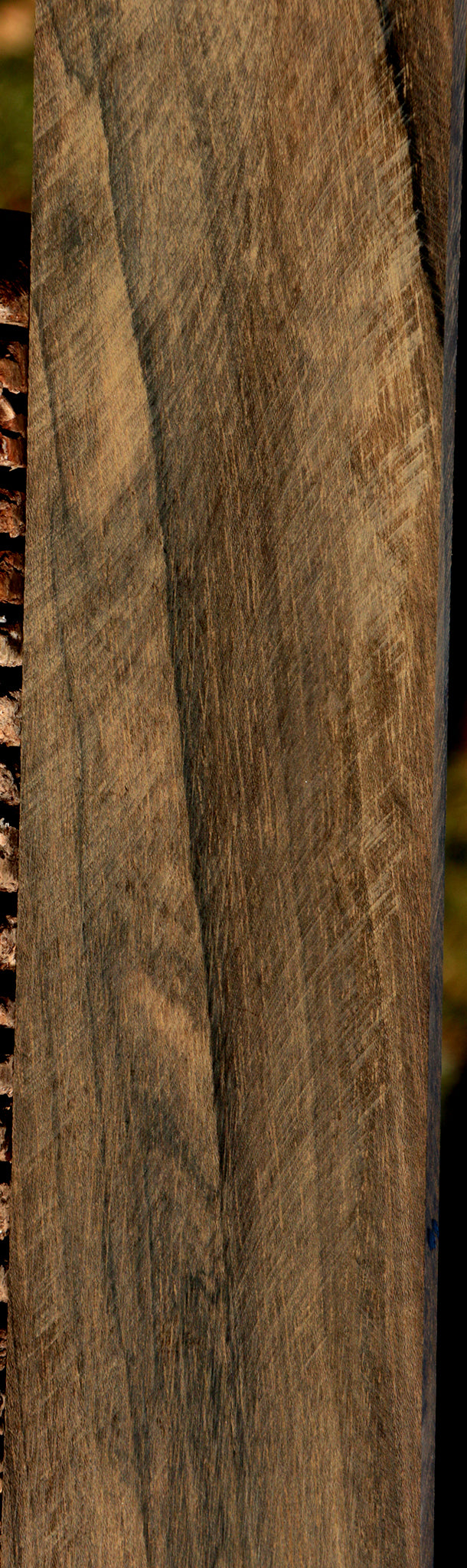 Ziricote Micro Lumber