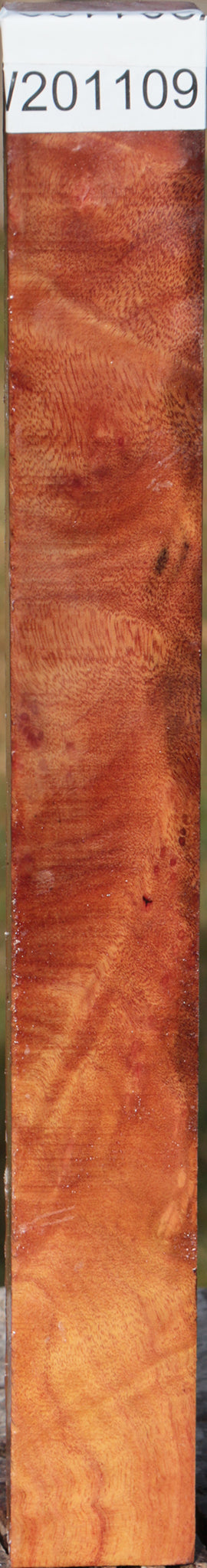 Camphor Burl Turning Square