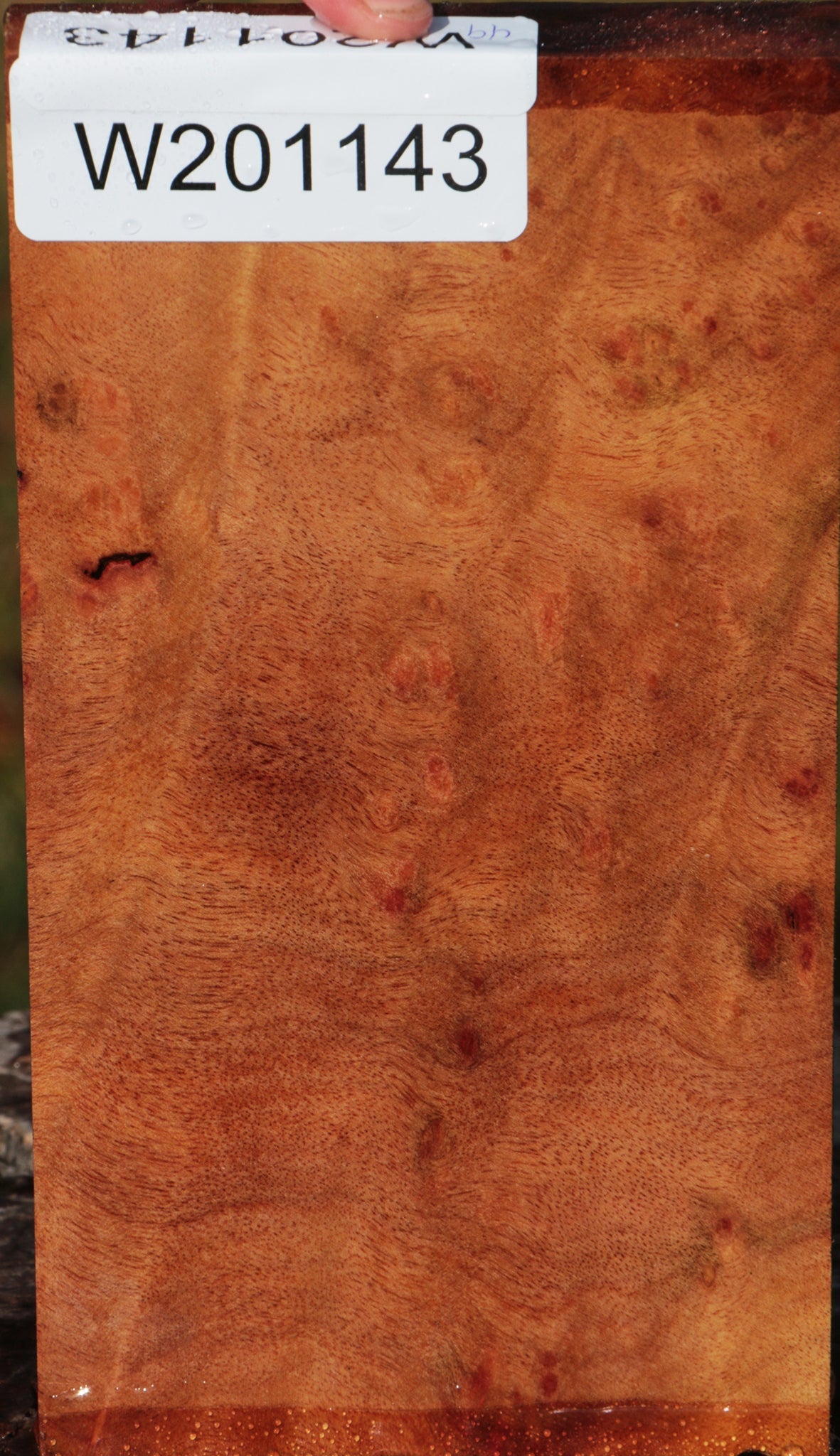 Camphor Burl Lumber