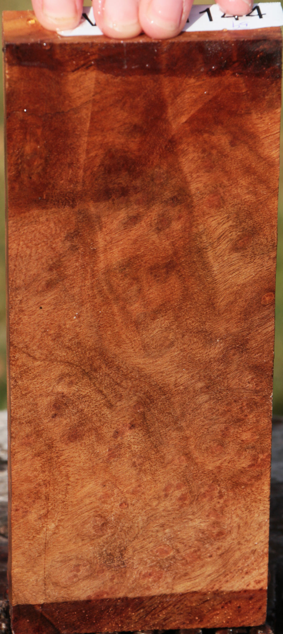 Camphor Burl Lumber