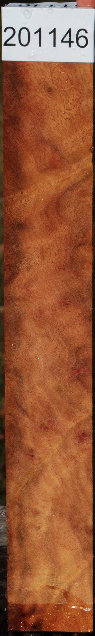 Camphor Burl Lumber