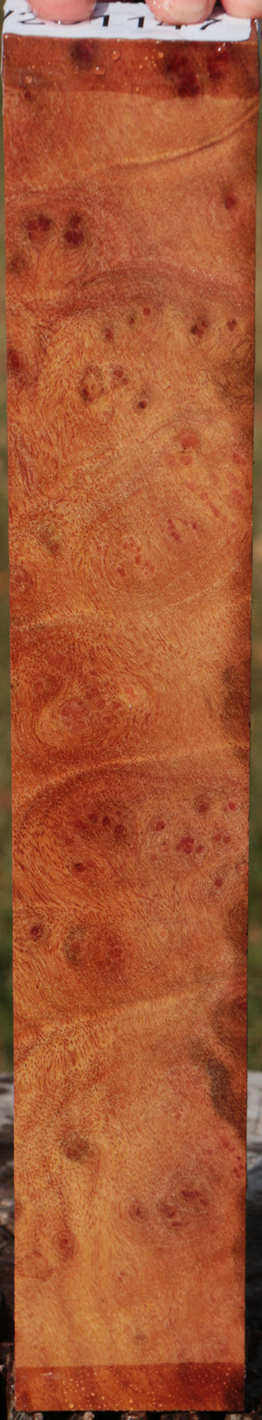 Camphor Burl Lumber
