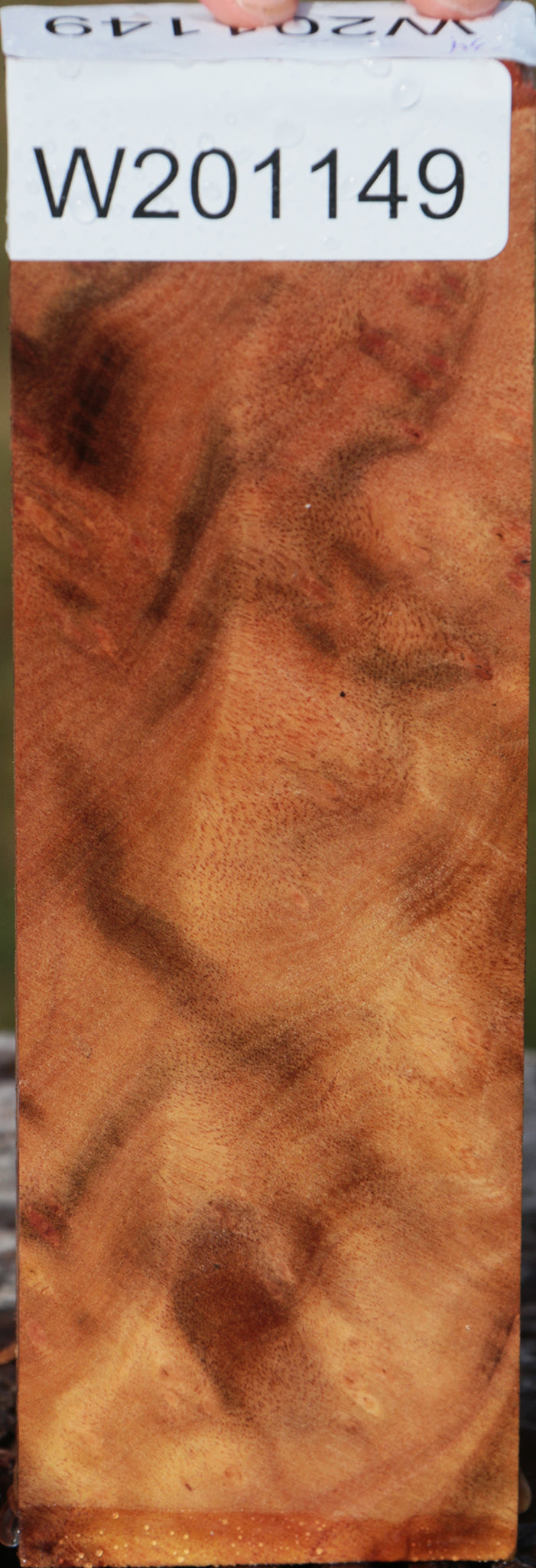 Camphor Burl Lumber