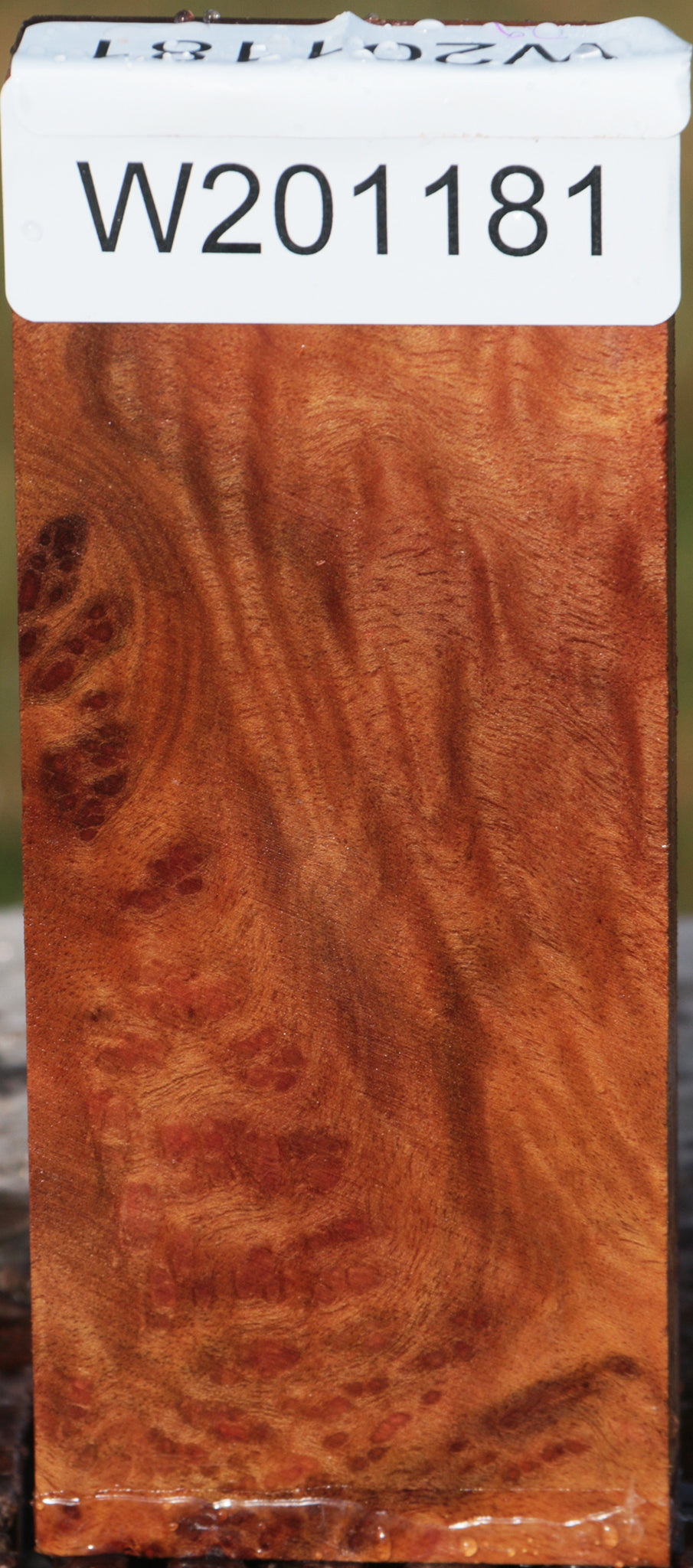 Camphor Burl Lumber