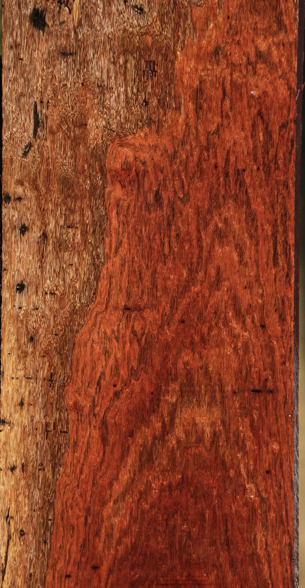Extra Fancy Chechen Lumber