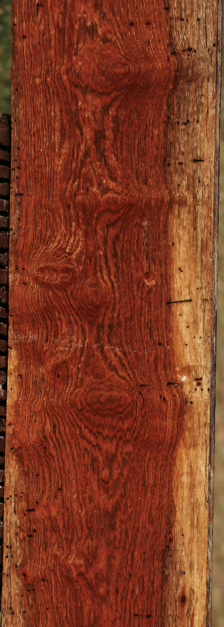 Chechen Lumber