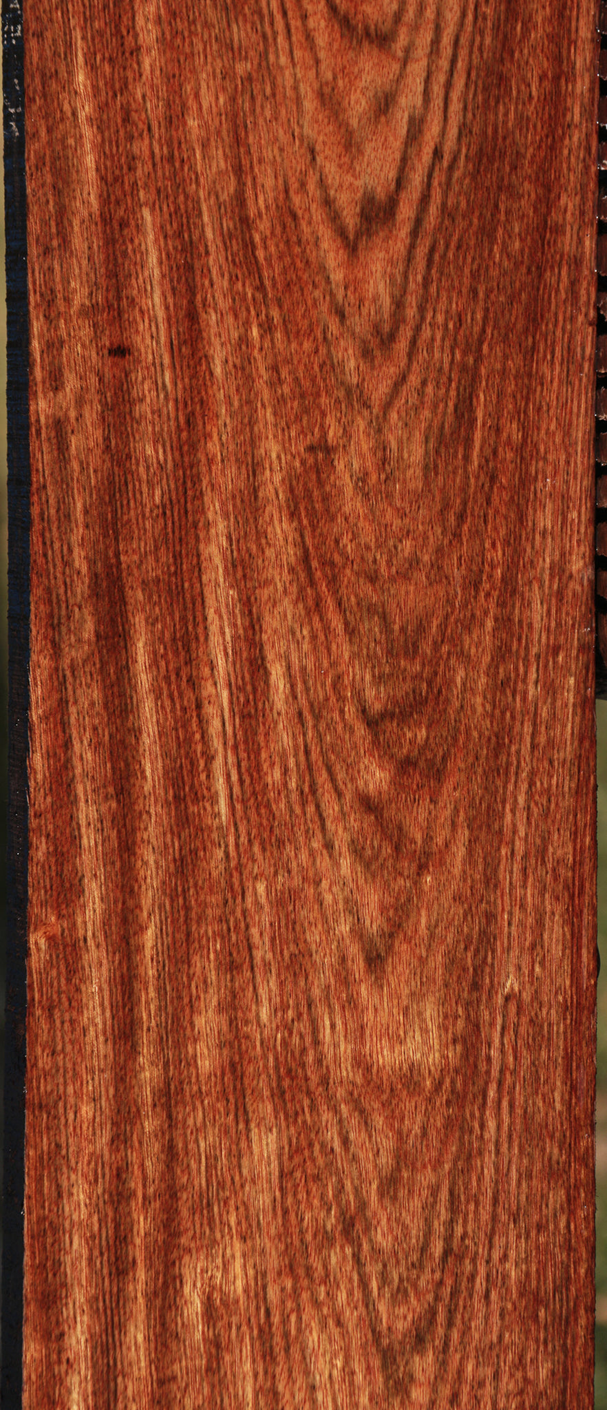 Chechen Lumber