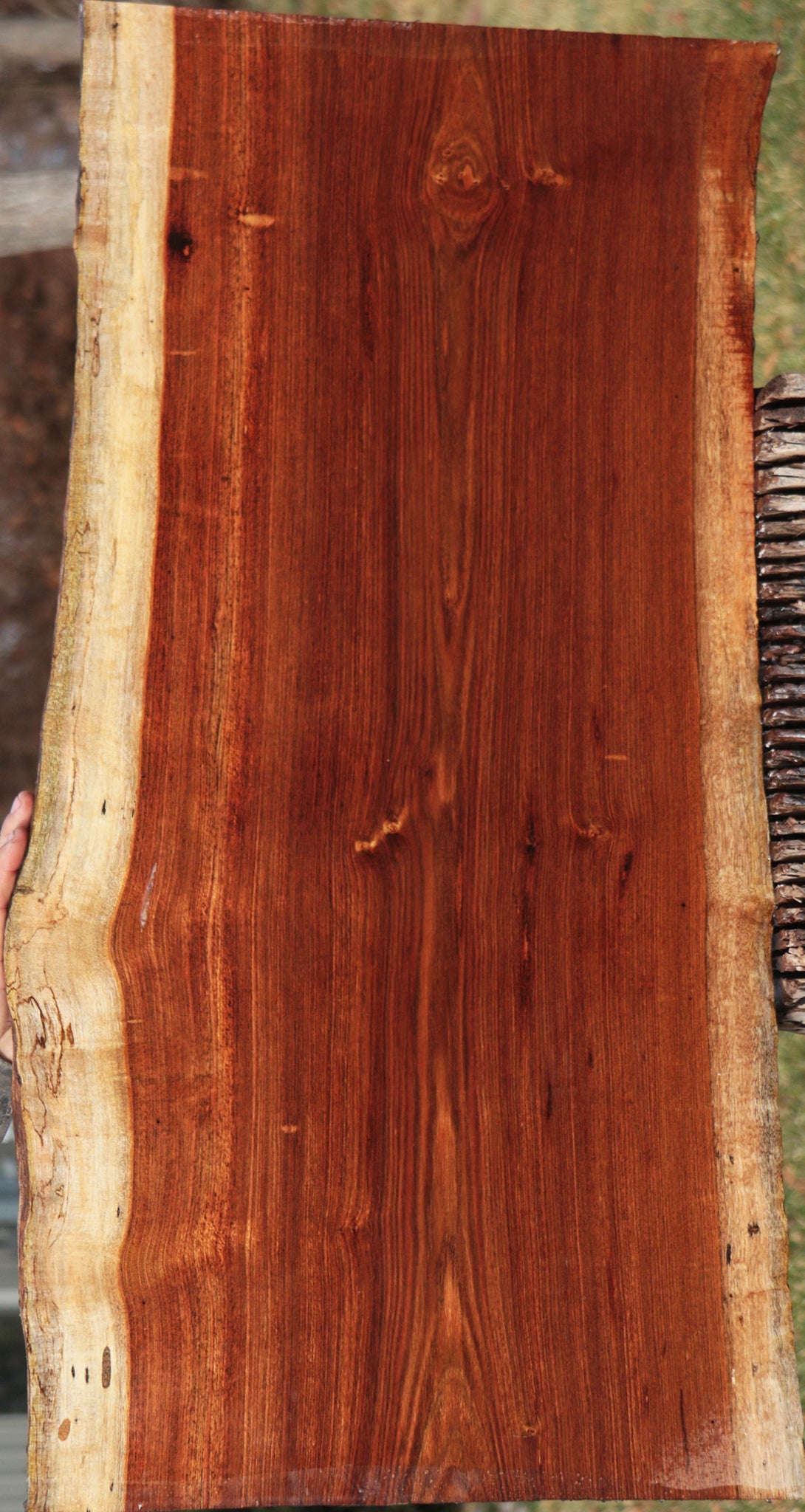 Spalted Chechen Live Edge Lumber