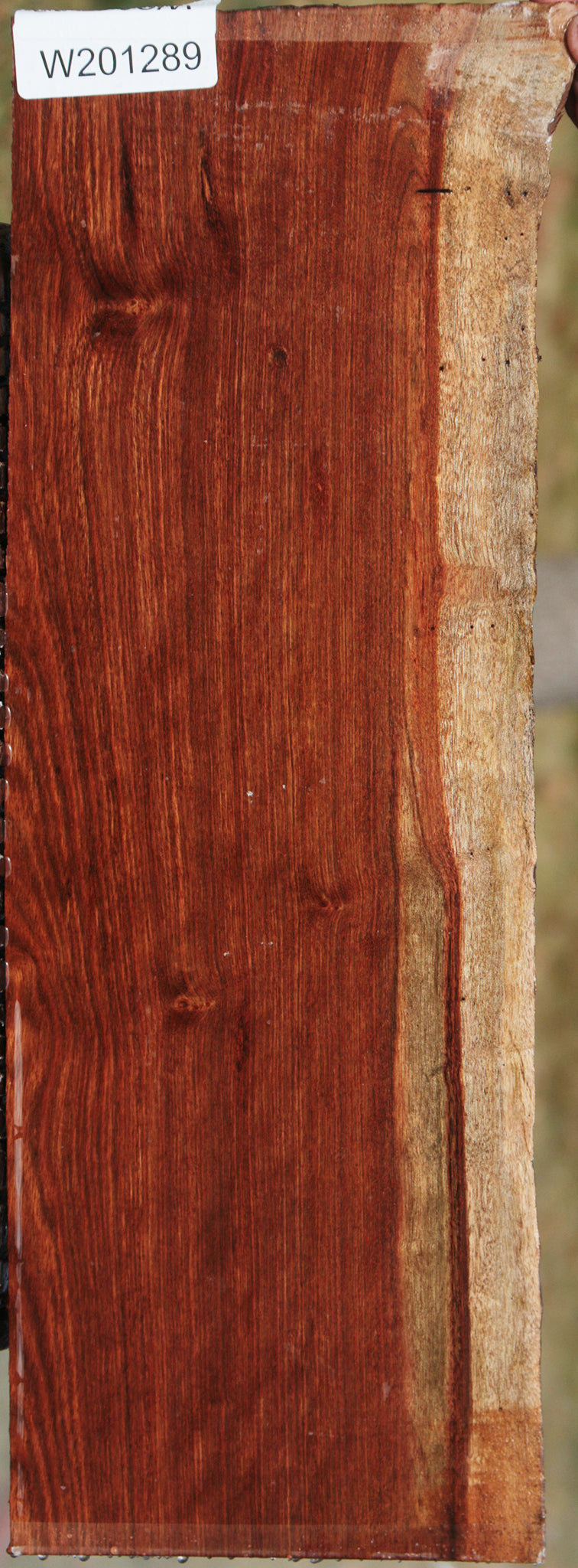 Chechen Live Edge Lumber