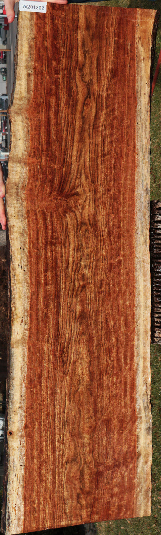 Extra Fancy Chechen Live Edge Lumber