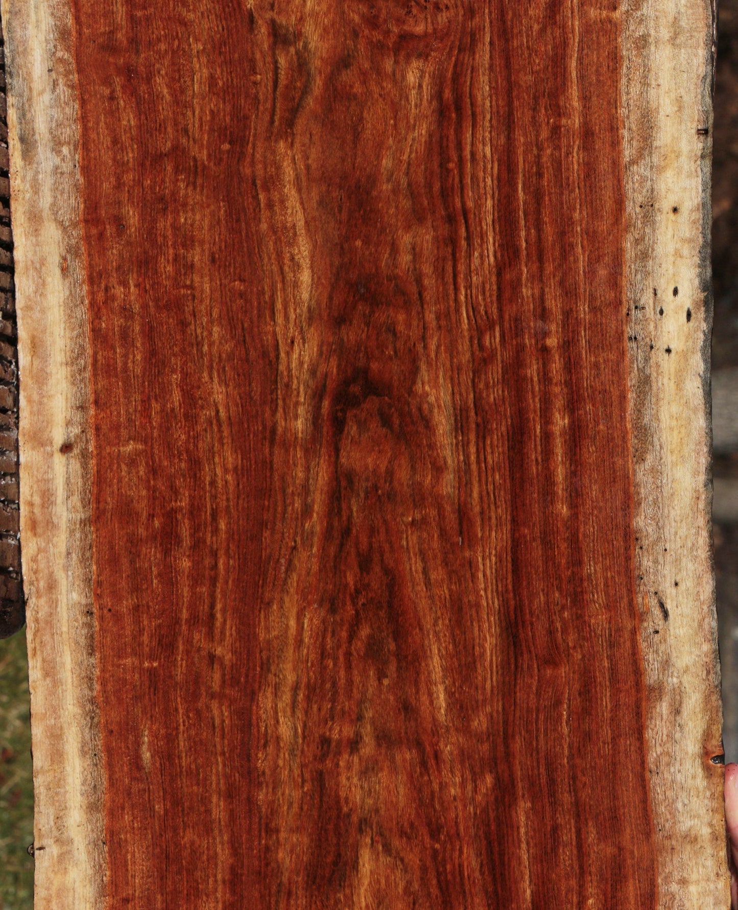 Extra Fancy Chechen Live Edge Lumber