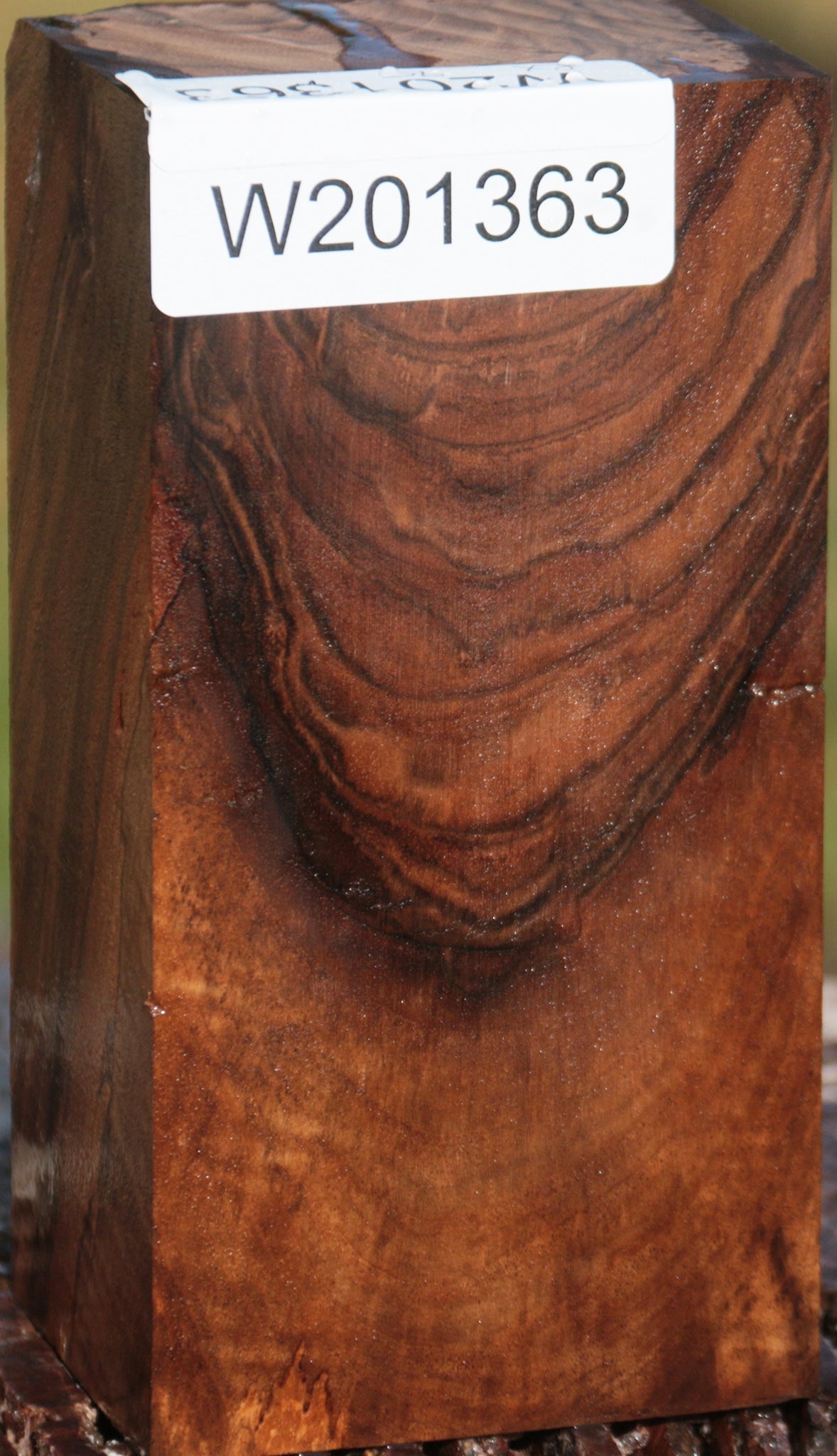 Exhibition English Walnut Lumber