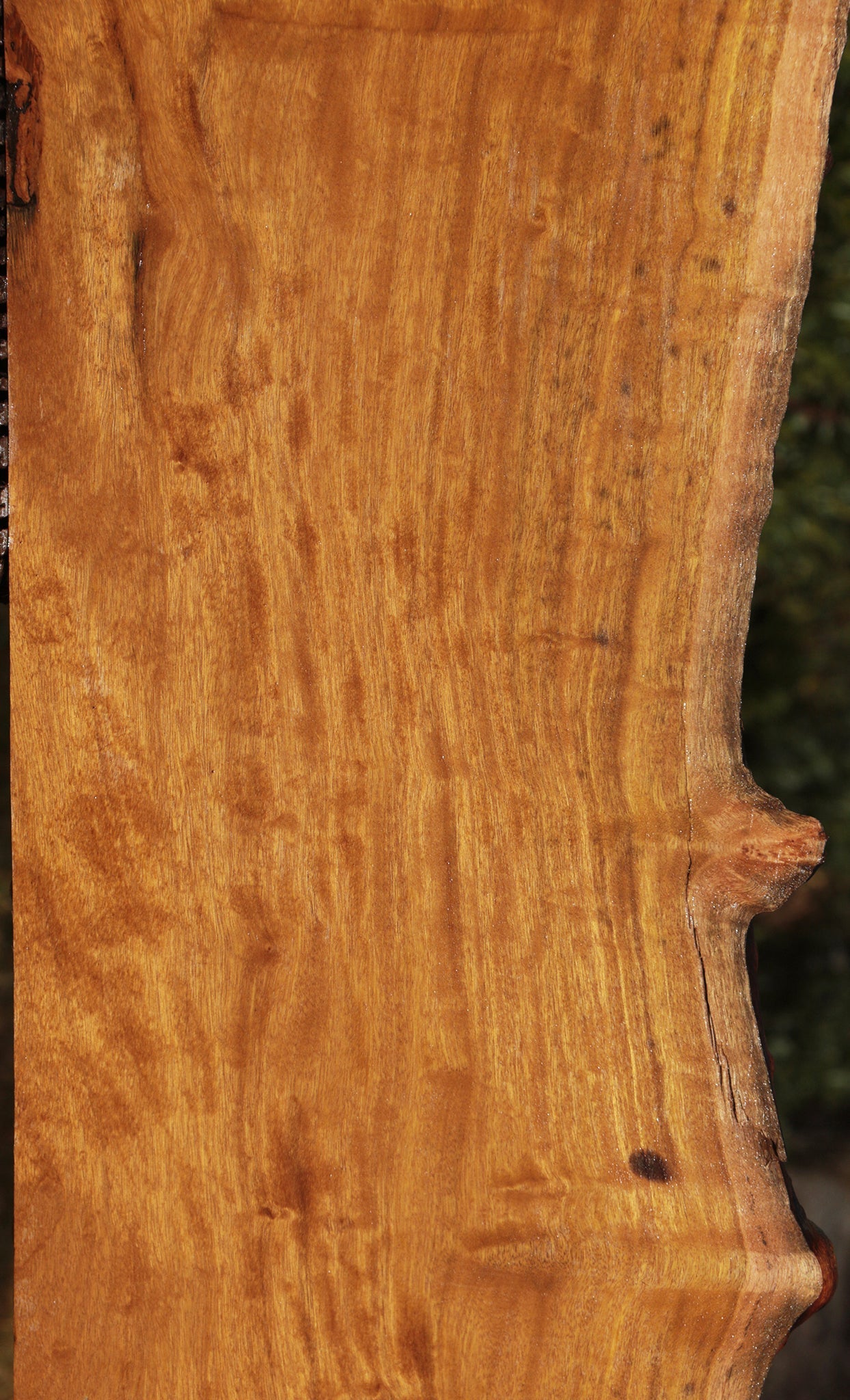 Itauba Live Edge Lumber