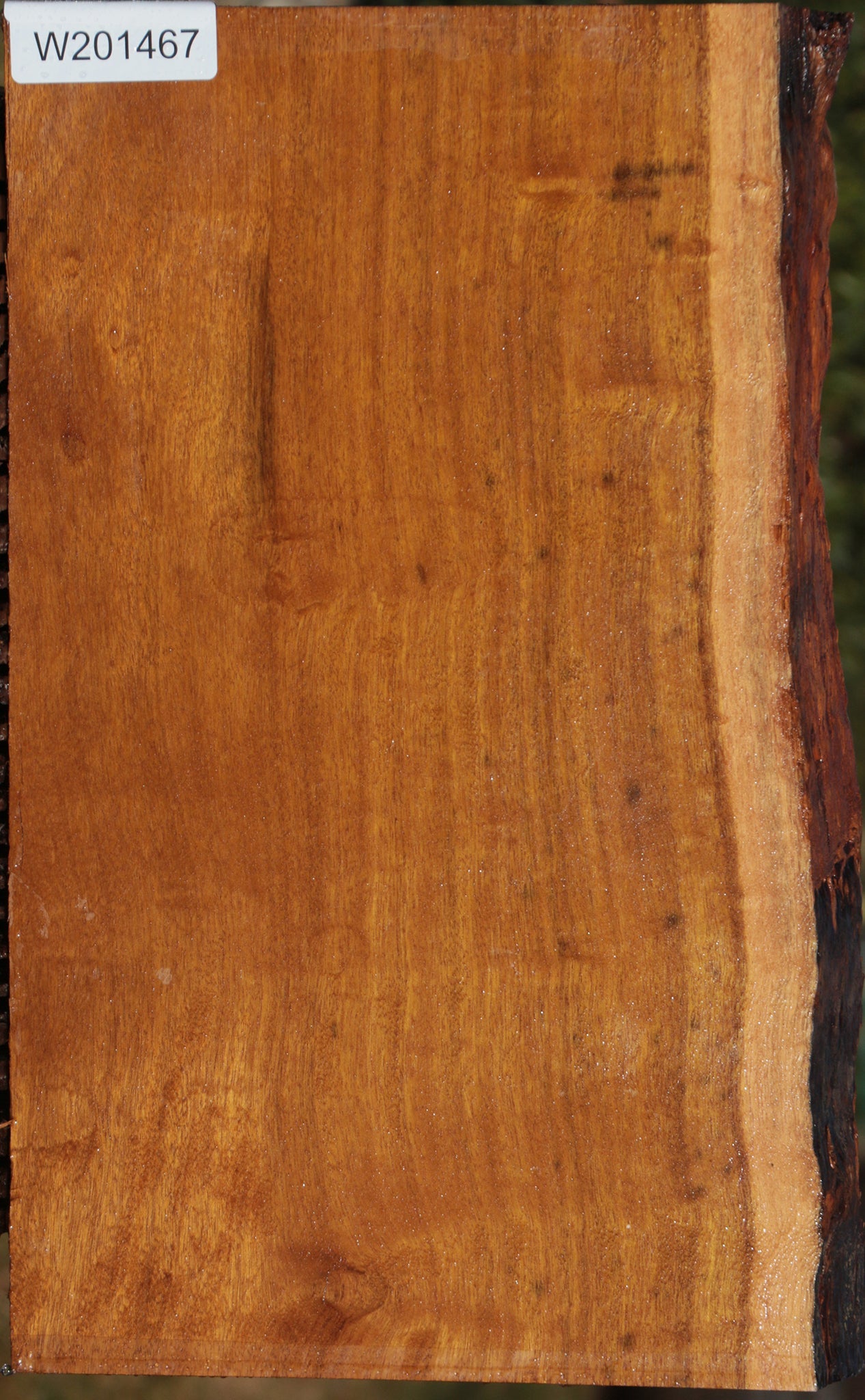 Itauba Live Edge Lumber