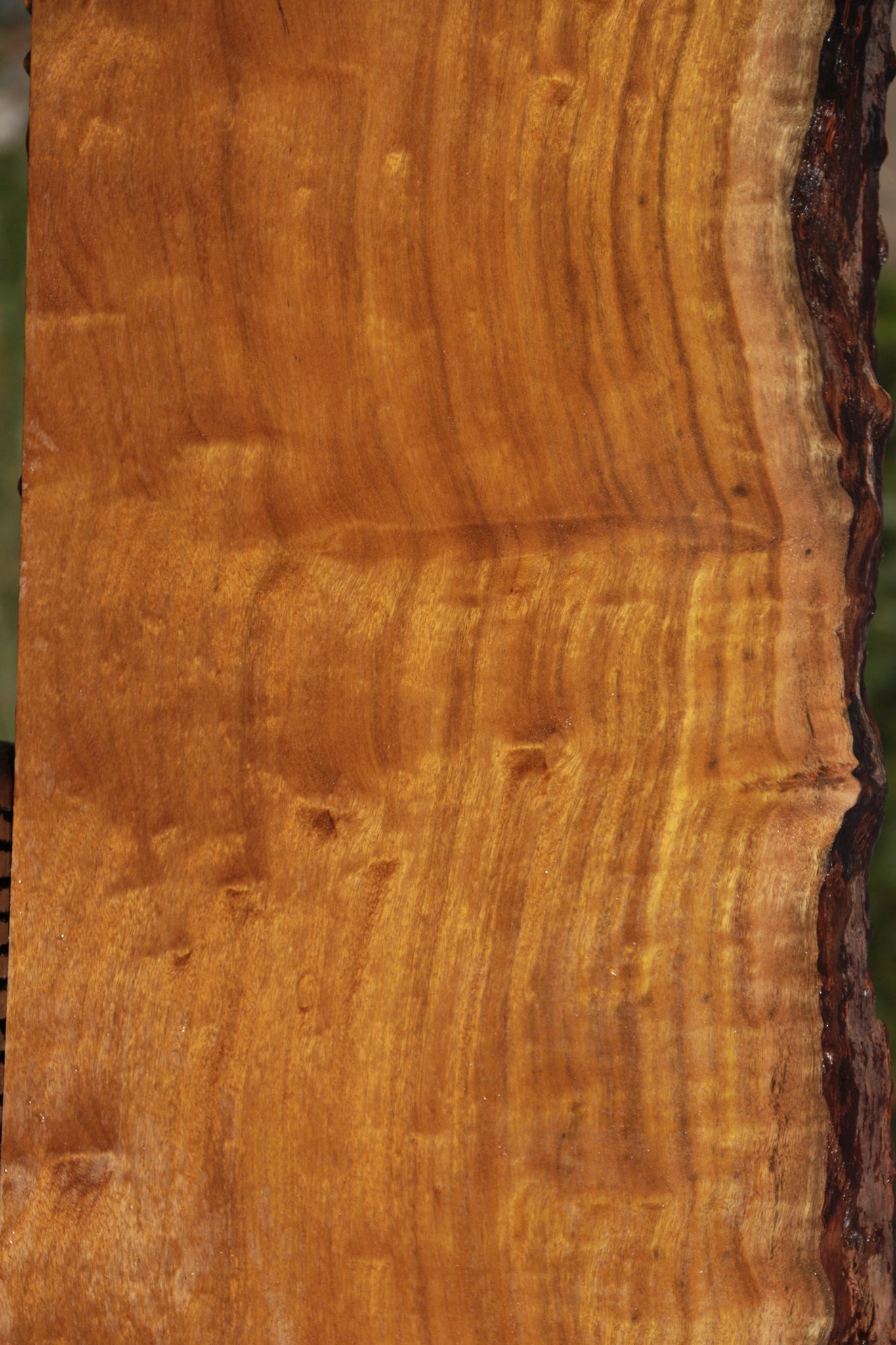 Itauba Live Edge Lumber