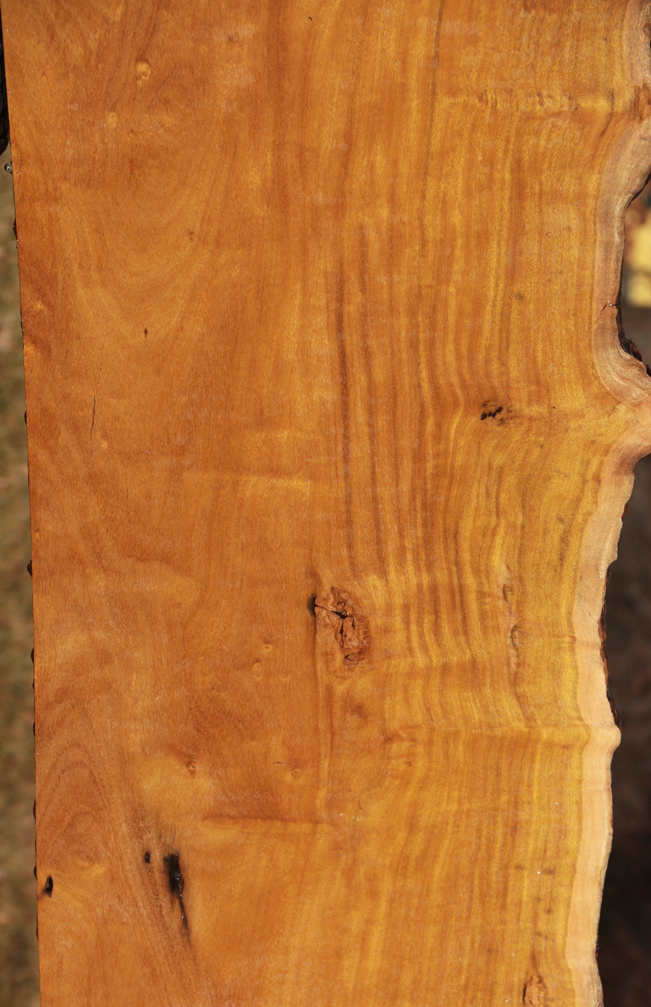 Itauba Live Edge Slab