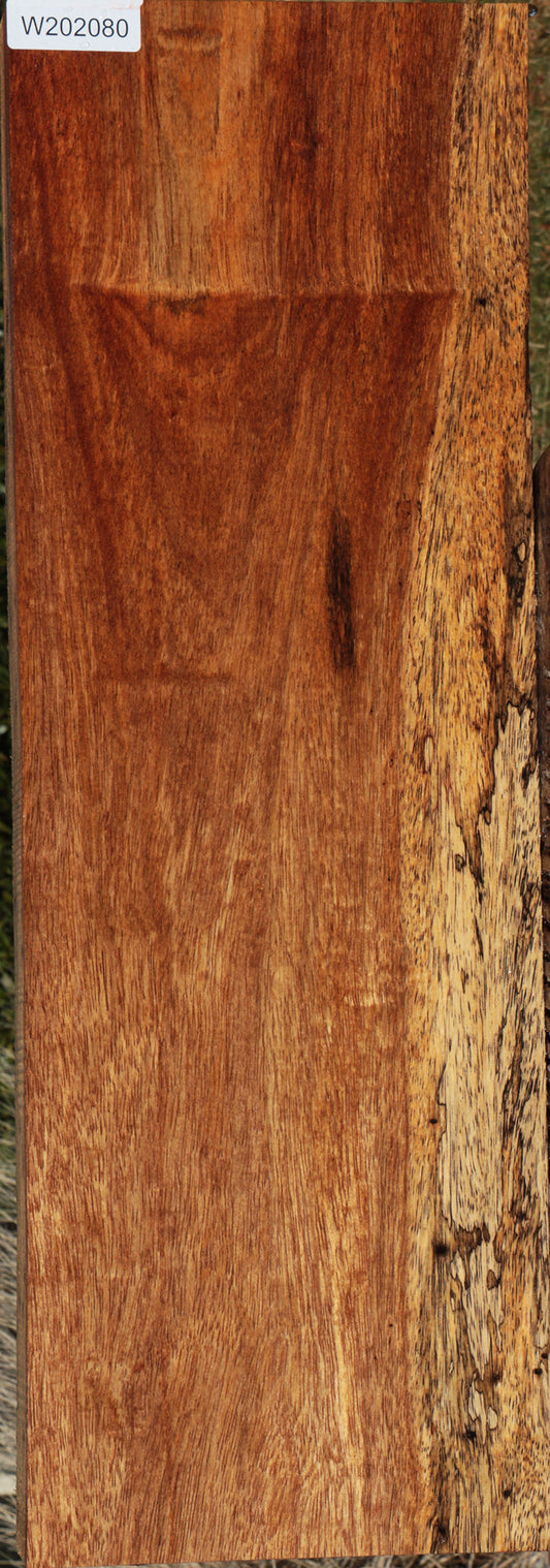 Spalted Colorado Manzano Lumber