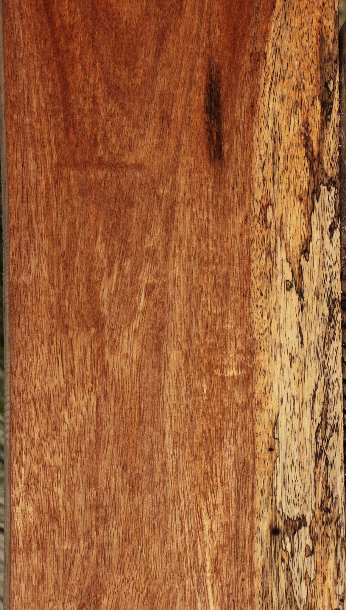 Spalted Colorado Manzano Lumber