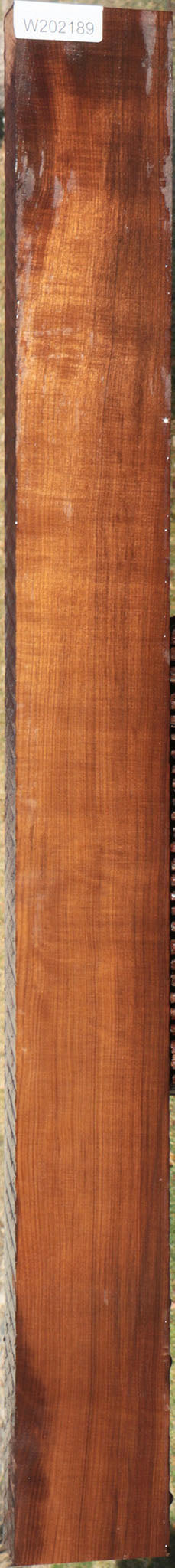 Quartersawn Imbuia Lumber