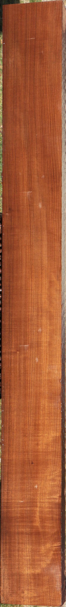Quartersawn Imbuia Lumber