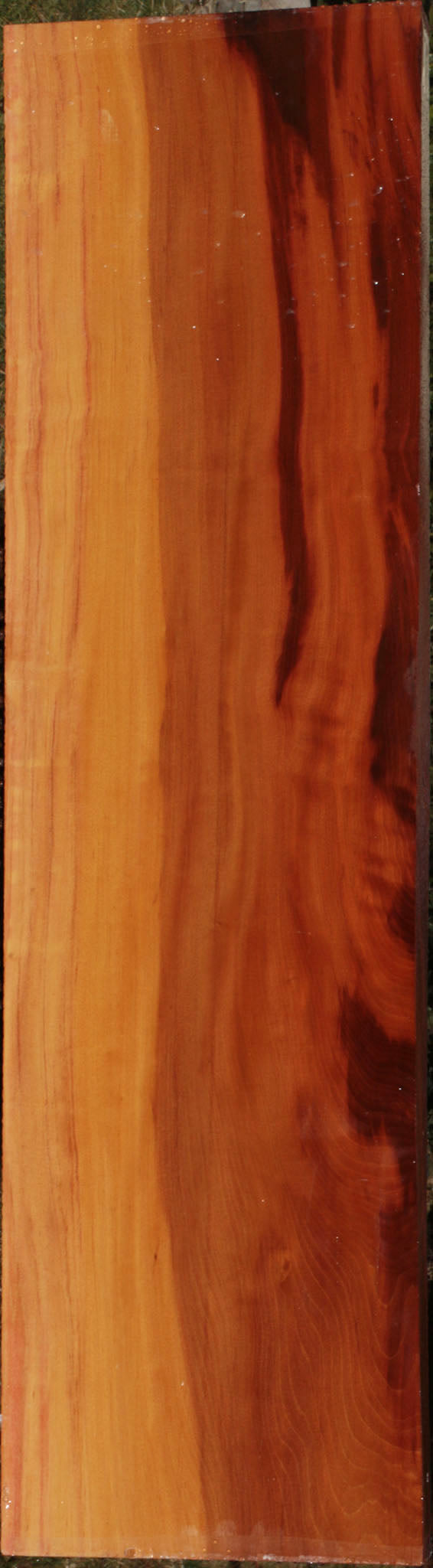 Extra Fancy Peroba Rosa Lumber