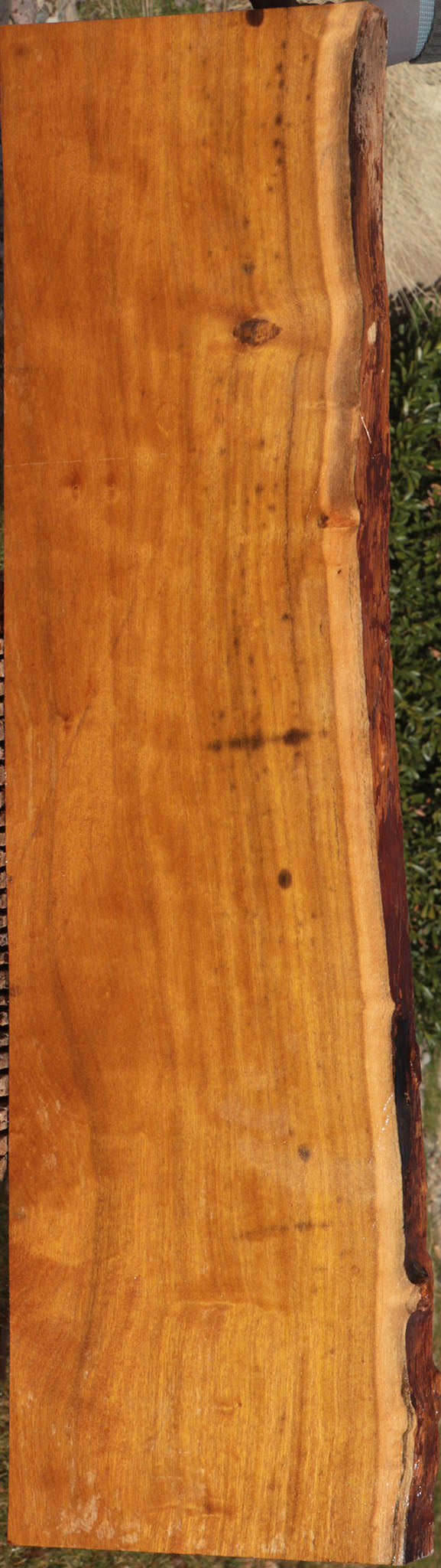 Itauba Live Edge Lumber