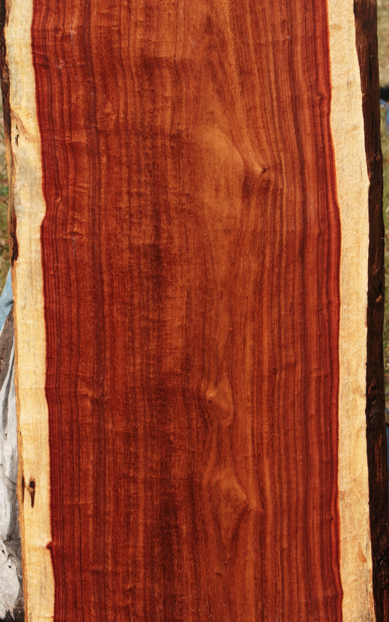 Granadillo Live Edge Lumber (Free Shipping Excluded)