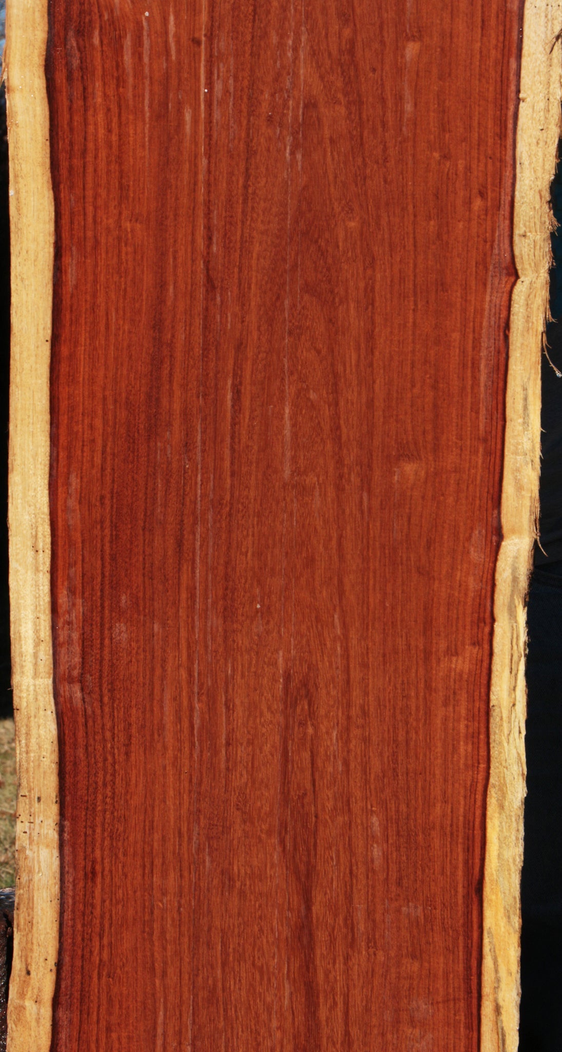 Granadillo Live Edge Lumber (Free Shipping Excluded)